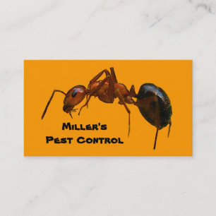 Carte De Visite Lutte contre les parasites