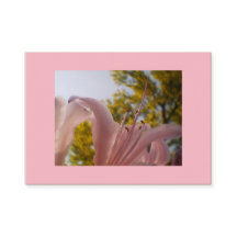 Lys rose en soie de qualité supérieure