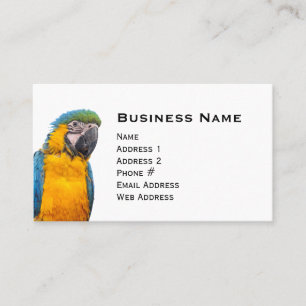 Carte De Visite Macaw bleu et or