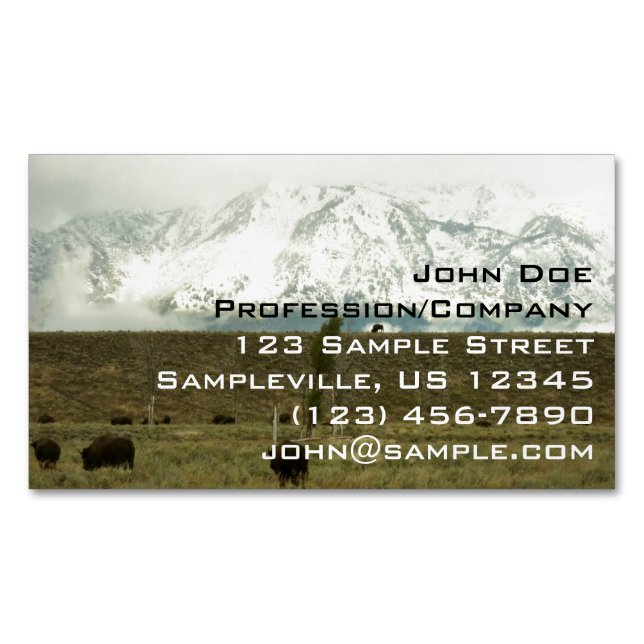 Carte De Visite Magnétique Bison à Grand Teton National Park Photographie (devant)