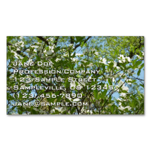 Carte De Visite Magnétique Branche of Dogwood Blossoms Spring Trees