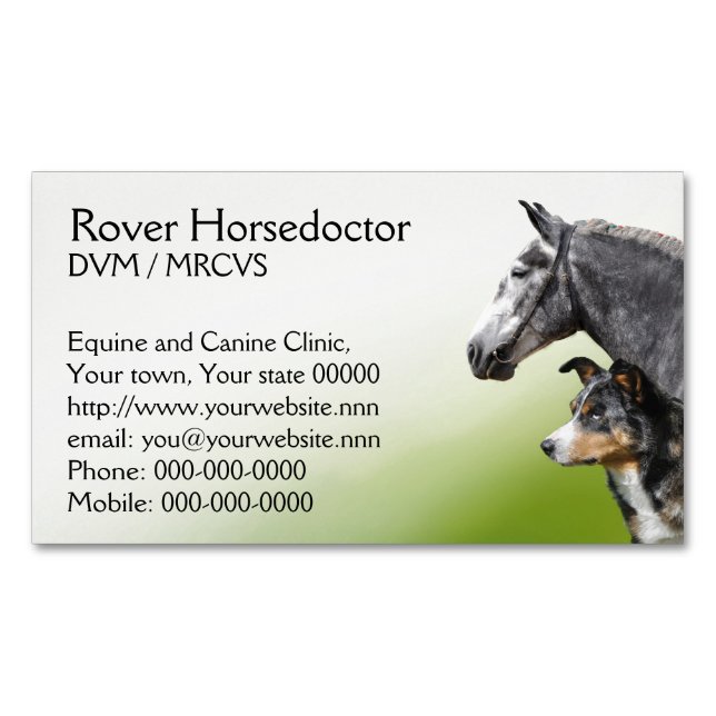Carte De Visite Magnétique Chevaux et chiens vétérinaires de pratique (devant)