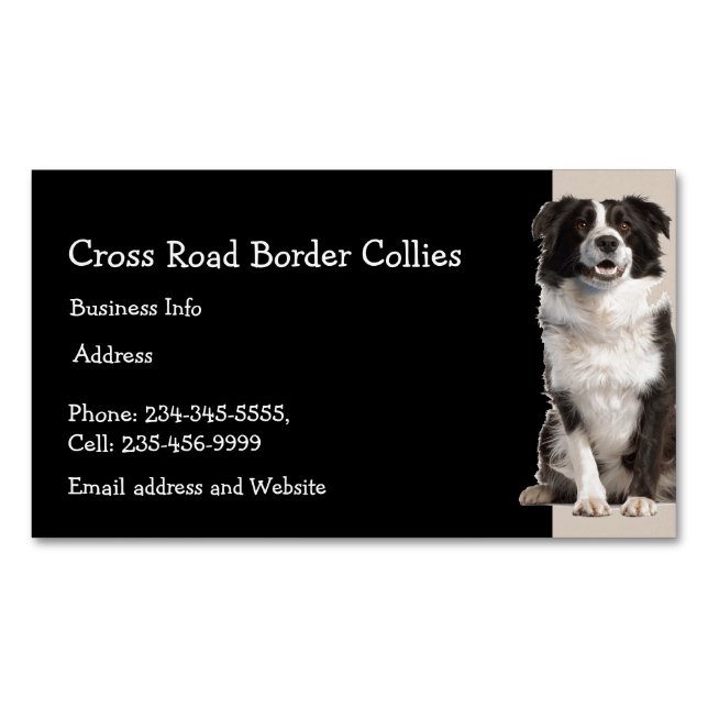 Carte De Visite Magnétique Collies à la frontière personnalisées Chien animal (devant)