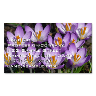 Carte De Visite Magnétique Crocus violets ensoleillés