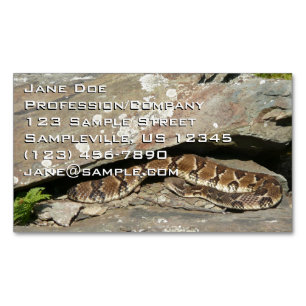 Carte De Visite Magnétique Crotale à Shenandoah National Park