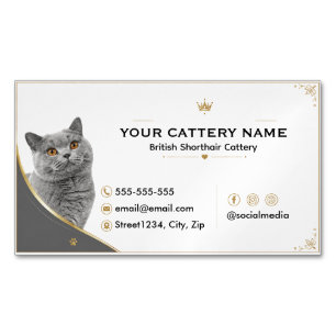 Carte De Visite Magnétique Élevage de British Shorthair élégant moderne
