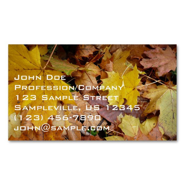 Carte De Visite Magnétique Fallen Maple Feuille Jaune Automne Nature (devant)