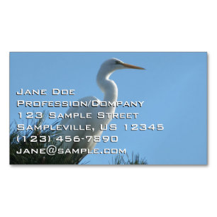 Carte De Visite Magnétique Great Egret dans la Floride ensoleillée