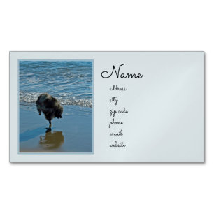 Carte De Visite Magnétique Keeshond Ballet Photographie - Joli chien d'origin