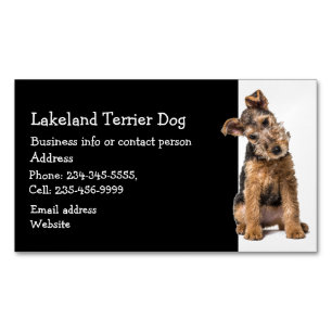 Carte De Visite Magnétique Lakeland Terrier Dresseur de chiens Sitter d'anima