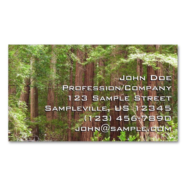 Carte De Visite Magnétique Les séquoias au monument national de Muir Woods (devant)