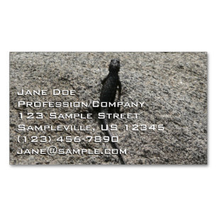 Carte De Visite Magnétique Lézard noir