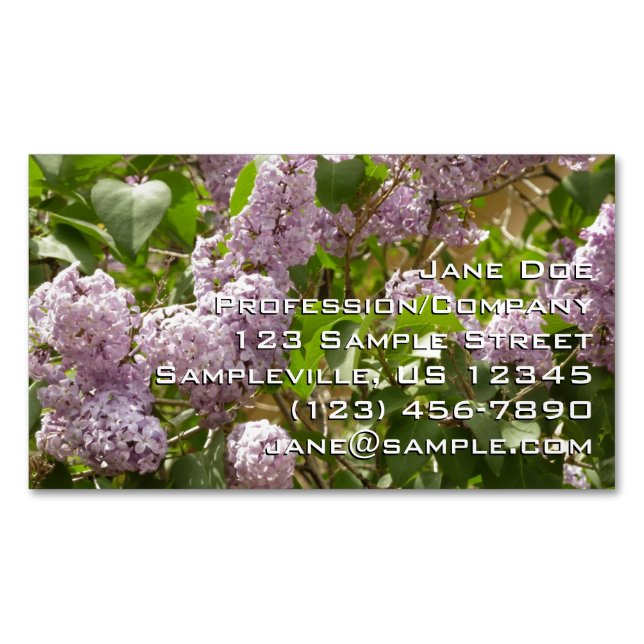 Carte De Visite Magnétique Lilac Bush Belles fleurs de printemps violettes (devant)