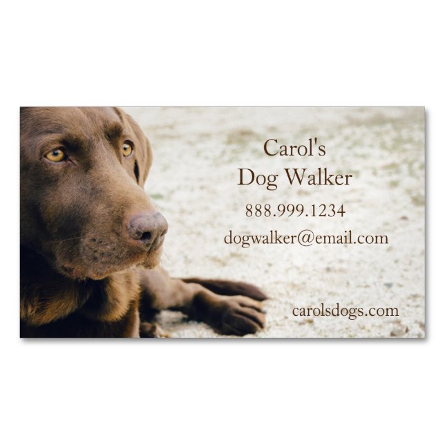 Carte De Visite Magnétique Marcheuse de chien personnalisée, service d'affair (devant)