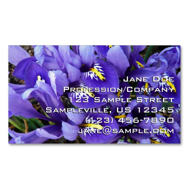 Carte De Visite Magnétique Miniature Bleu Irises Printemps Floral (devant)