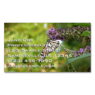 Carte De Visite Magnétique Monarque papillon sur Buddleia pourpre