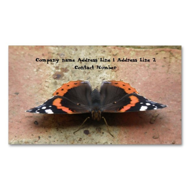 Carte De Visite Magnétique Papillon de l'amiral rouge Personnalisé (devant)