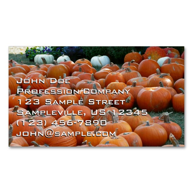 Carte De Visite Magnétique Photographie de récolte d'automne des citrouilles  (devant)