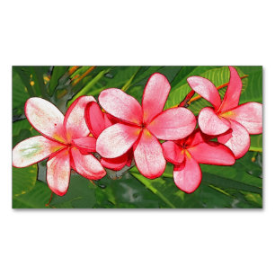 Carte De Visite Magnétique Plumeria