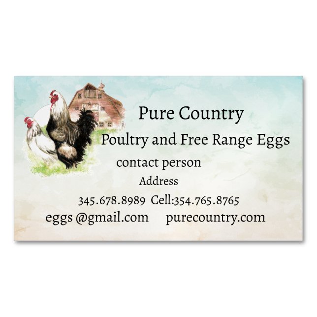 Carte De Visite Magnétique Poulets, Volaille, Oeufs Libre biologique (devant)