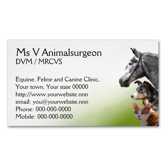 Carte De Visite Magnétique Pratique en matière de vétérinaire de cheval, de (devant)
