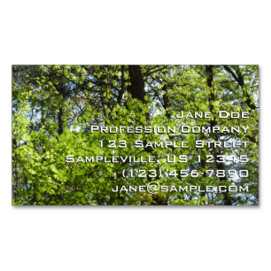 Carte De Visite Magnétique Ressource Feuille