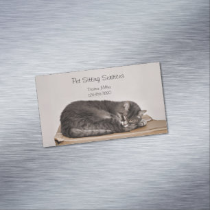 Carte De Visite Magnétique Services de gardiennage d'animaux Toilettage de ch