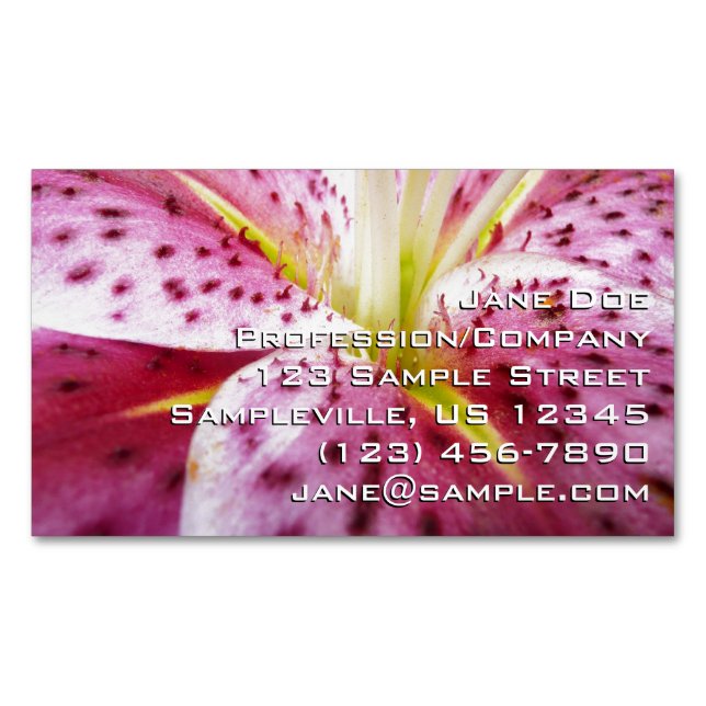 Carte De Visite Magnétique Stargazer Lily brillant Magenta Floral (devant)