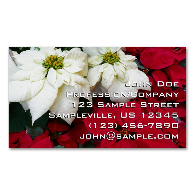 Carte De Visite Magnétique White and Red Poinsettias (devant)