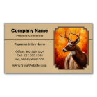 Whitetail Deer Autumn