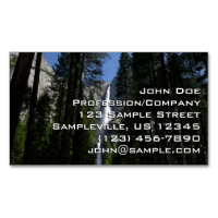 Yosemite Falls et Woods Paysage Photographie