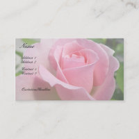 Carte de visite magnifique de rose de rose