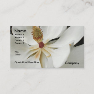 CARTE DE VISITE MAGNOLIA 3