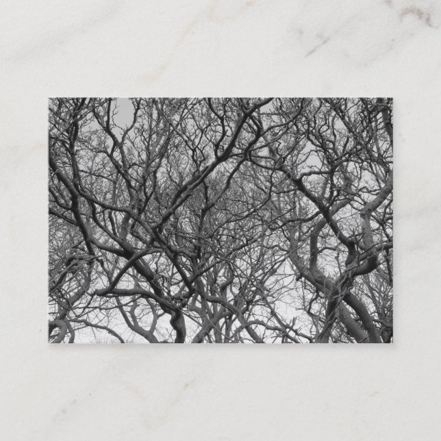 Carte De Visite Magnolia Tree Branches B&W (Devant)