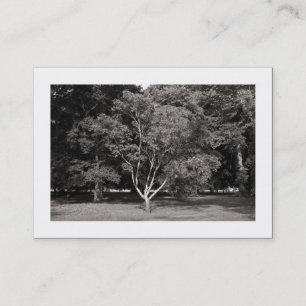 Carte De Visite Magnolia Tree Warm BW (Bordé)