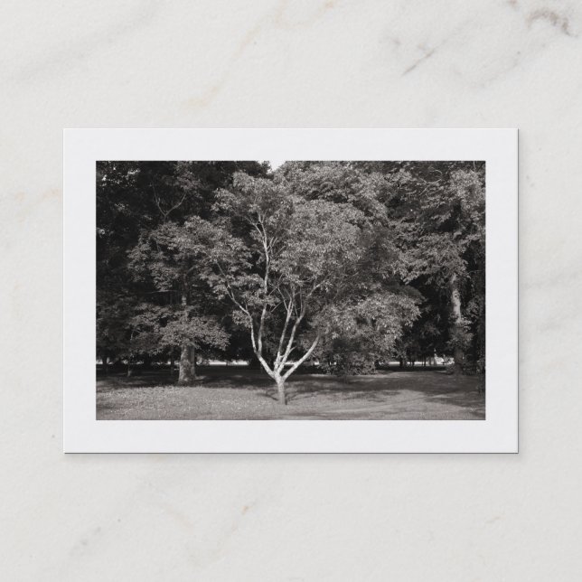 Carte De Visite Magnolia Tree Warm BW (Bordé) (Devant)