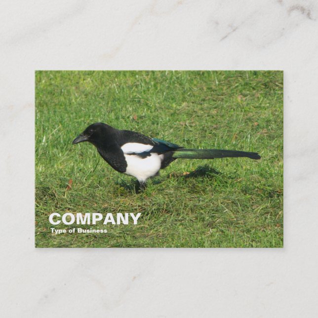 Carte De Visite Magpie européenne (Devant)