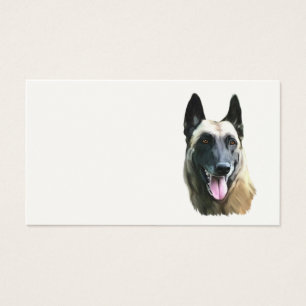carte de visite malinois