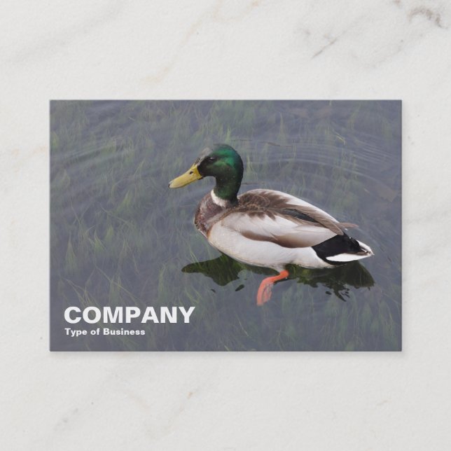 Carte De Visite Mallard Duck (Devant)
