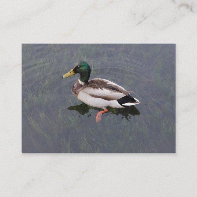 Carte De Visite Mallard Duck (Devant)