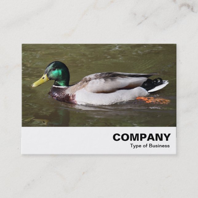 Carte De Visite Mallard Duck (Devant)