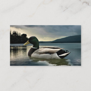 Carte De Visite Mallard Duck