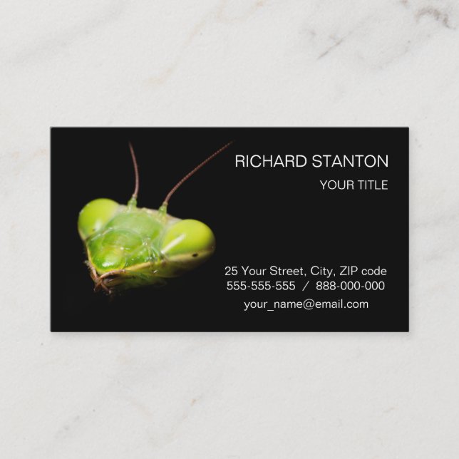 Carte De Visite Mante priante (Devant)