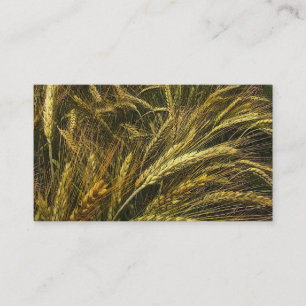 Carte De Visite Marché de grain