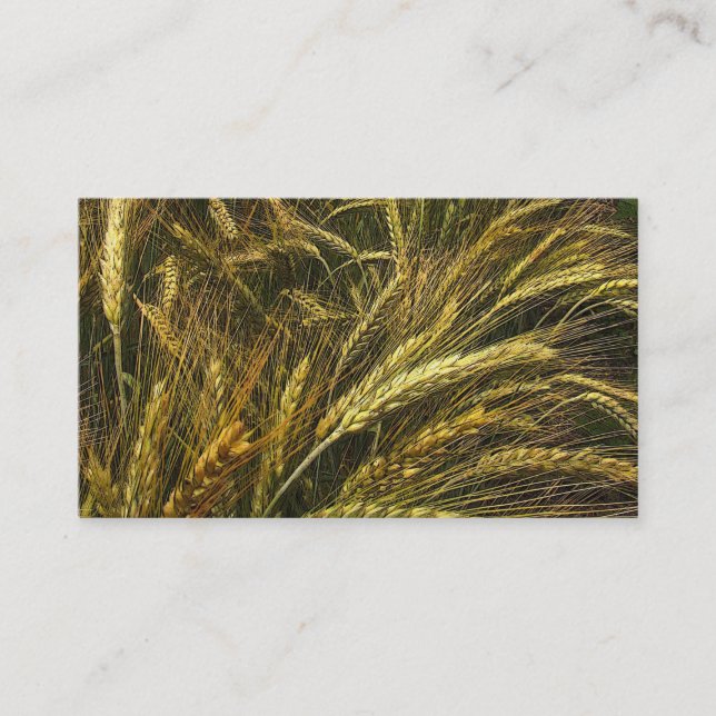 Carte De Visite Marché de grain (Devant)