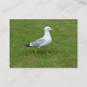 Carte De Visite Marche de mouettes dans le parc