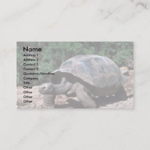 Carte De Visite Marche en forme de dôme géante de tortue