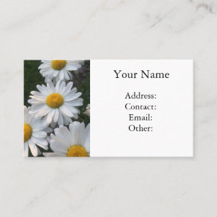 Carte De Visite Marguerites blanches