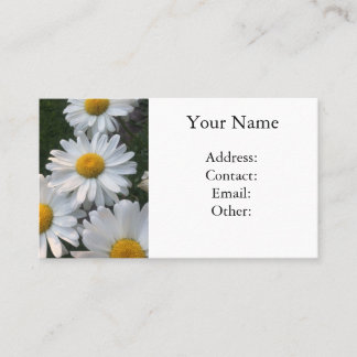Carte De Visite Marguerites blanches