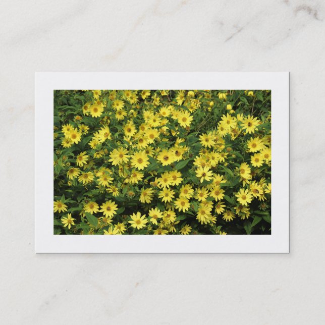 Carte De Visite Marguerites Jaunes (Bordé) (Devant)